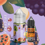 Emissary – Punch Paradise 12mg MTL Longfill Kit 30ml